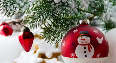 VACANZE DI NATALE